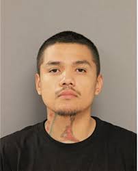 ᐅ Illinois Criminal Records 2009-2025