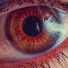 Imagen de la noticia para el onirico ojo de google de Xataka Foto
