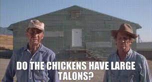 A word you just said. Yarn Do The Chickens Have Large Talons Napoleon Dynamite 2004 Video Gifs By Quotes 95ee4c59 ç´—