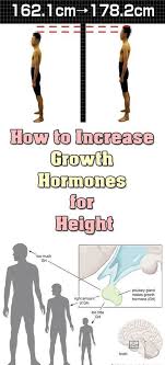 Basketball Grow Taller Increase Height Exercise How To Grow Taller Height Growth