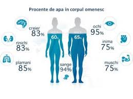 De ce temperatura corpului uman ar trebui să fie de 98, 6 grade fahrenheit? Importanta Apei In Organism