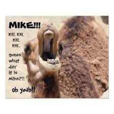 Camel hump day at the office woot woot geico tv commercial. Caleb The Geico Camel