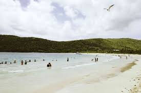 Ocean park is arguably the best beach in san juan. 10 Best Beaches In Puerto Rico