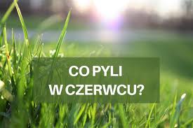 Noc świętojańska, zwana wcześniej nocą kupały, to święto nie tylko sięgające do obyczajów słowiańskich, ale zawierające też pierwiastki celtyckie, germańskie i indoeuropejskie. Noc Kupaly Kiedy Jest W 2021 Roku Co To Za Dzien Jak Ja Obchodzic Eska Pl