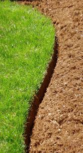 comment mettre du paillage dans les massifs paillage jardin paillage potager amenagement jardin