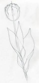 Draw Tulip Flowers In Few Easy Steps In drawing, every step matters, and it can't be a guessing game. draw tulip flowers in few easy steps