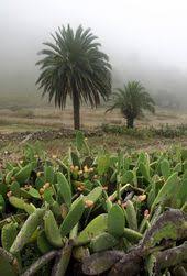 Panorama La Gomera Sonniges Exil Badische Zeitung De La Gomera Kanarische Inseln Teneriffa