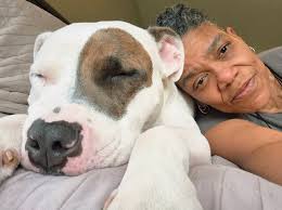 Chilling with my Theo! 2 years and 70lbs🥰