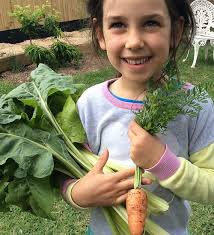 Cultivating a variety of STEM skills in the garden
