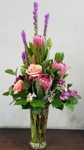 Image result for Protea