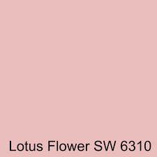 We did not find results for: Lotus Flower Coordinating Colors And Color Schemes