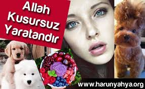 Allah Kusursuz Yaratandir Allah Kuran Quran Http Adnanoktar Com Allah Kusursuz Yaratandir Allah