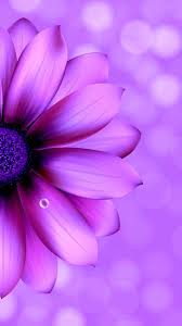 Purple Flower Purple Wallpaper Purple Wallpaper Phone Flower Wallpaper