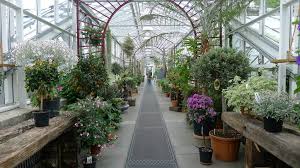 Berlin Dahlem Konigliche Gartenakademie Von Christiane Pape Glass House Garden Orchid House Greenhouse