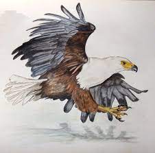 Последние твиты от eagle painting (@eaglepaintco). Andrew Walsh Andrewbwals Profile Pinterest