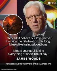 Actor James Woods documented the spread of the Palisades Fire into homes in  the hills around Los Angeles