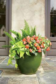 Maybe you would like to learn more about one of these? 30 Heat Tolerant Container Gardens For Summer Southern Living