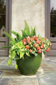 For blue flowers, soil should be acidic, 5.5 or lower. 30 Heat Tolerant Container Gardens For Summer Southern Living