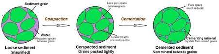 Steels can be classified in many ways such as on the basis of the methods used in their manufacture, on the carbon content, or according to their use. Geological Society Compaction And Cementation