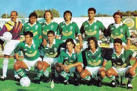 Club de deportes temuco s.a.d.p. Wanderers En Copa Chile 1995 Memoria Wanderers