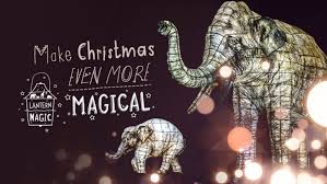 The Lanterns 2020 At Chester Zoo Events Lets Go With The Children