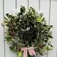 Christmas Wreath Making with Nature - Acton Village Hall, St Mary's Church, Acton Event Image