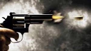 The firearms (increased penalties) act 1971 (malay: Polis Siasat Pesara Tembak Lelaki Disangka Monyet