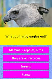 Alexander the great, isn't called great for no reason, as many know, he accomplished a lot in his short lifetime. What Do Harpy Eagles Eat Trivia Answers Quizzclub