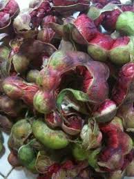 Guamuchiles Mexican Food Recipes Real Mexican Food Latin Flavors