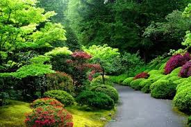 Unduh 74 background pemandangan indah hd hd terbaru. Background Taman Indah