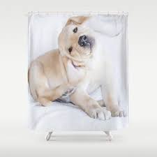 Stop Neglecting Bathroom Decor Our Designer Shower Curtains Bring A Fresh New Feel To An Overlooked Space Hookless And Dog Shower Baby Labrador Labrador Dog