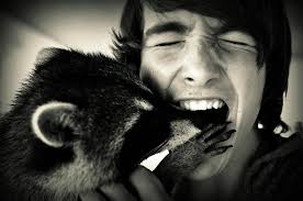 Raccoon Kisses!