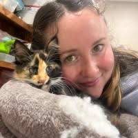 20+ "Perigo" profiles