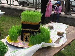 نتیجه تصویری برای سبزه شب عید 96 + تصاویر مدل سبزه سفره هفت سین عید نوروز سال 1396