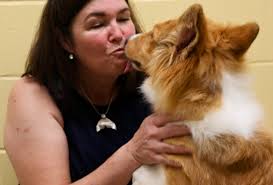 Watch video: Dogs seized from Maine breeder begin transition to new homes