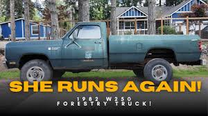 Image result for Daystar Blue 1982 Dodge Truck