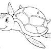 Terrapin coloring pages terrapin is a general term for freshwater turtles, which live in freshwater and lay their eggs on shore, just like sea turtles. 1