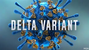 The delta variant is now responsible for more than 83 percent of new coronavirus. Covid 19 Delta Variant Has Become Dominant In Oregon Ktvz