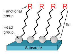 You can personally reflect on them whenever you want. Self Assembled Monolayer Wikipedia