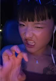 First Time Dog Shoes for My Rottweiler