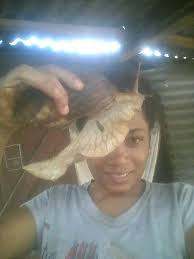 ✝️Nodimandry ny maraina teo i Mamabe Razafinoro, Vadin'ny Filoha Nasionaly  FFSM (Fiangonan'ny Fifohazana Soatanana eto Madagasikara) 😪Misaona ny  Mpino FFSM rehetra manerana ny Nosy. Mirary fiononana feno hoan'ny  fianakivany🕊 (sary nindramina)