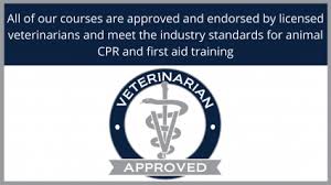 The pet first aid certification online course is designed to give the pet lover, dog sport enthusiast or pet professional the necessary information and skills to stabilize an injured or unwell animal until qualified veterinarian care is accessed. Pet Emergency Education