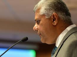 Novato fires consultants after faulty background check