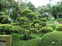 Kowloon Park Hong Kong Is Located In The Central Zone Of Tsim Sha Tsui Hong Kong Travel Hong Kong Kowloon