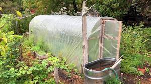 Boy do i love it. Cattle Panel High Tunnels Fall Update And Review Youtube