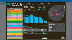Top 10 Business Analyst Infographic Features