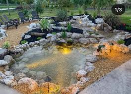 paulcuffaro akvaryum aquarium aquabook follow fishtank plantedtank biotop biyotop fish discus killifish instagood swim reef jardineria estanques bonsai