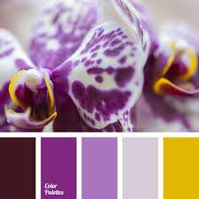 Purple is a mixture of blue and red and, thus, sits between the two in the color wheel. Bright Purple Color Color Palette Ideas