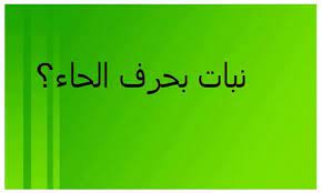 تعرف وتعلم أسماء نبات بحرف الحاء calligraphy arabic calligraphy