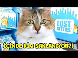 Lost Kitties Cilgin Ve Afacan Kediler Surpriz Kutu Icindeki Oyun Hamuruna Saklanmis Yaramaz Kedi Kim Youtube